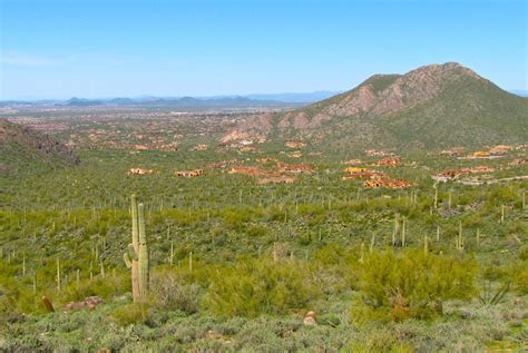 Scottsdale Daily Photo: Photo: McDowell Mountain Preserve