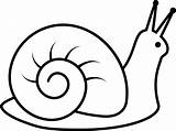 Snail Clipart Drawing Line Outline Cliparts Drawings Svg Clipground  sketch template
