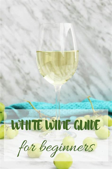 White Wine for Beginners - Slow The Cook Down