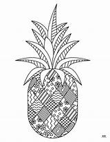 Pineapple Coloring Pages  25 FREE Printabulls sketch template