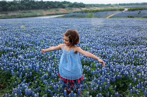 As bluebonnet season arrives, Texas photographers share how to get the ...