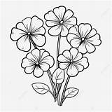 Cliparts Vectorified Pinpng Sketch Coloring Page sketch template