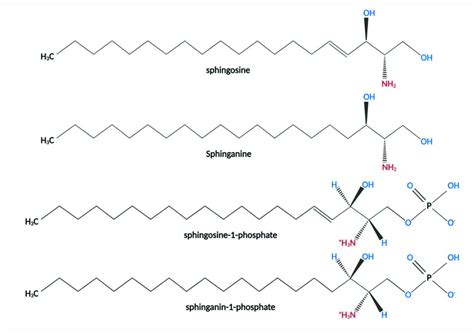 Structure of Sphingosine, Sphinganine, sphingosine-1-phosphate, and ...
