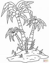 Palm Tree coloring Page  Free Printable Coloring Pages sketch template