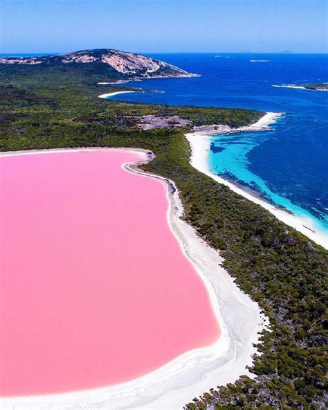 The incredible pink Lake Hiller in Australia to brighten your Friday 🌈 ...