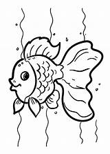 Goldfish Coloring Pages  40 Printable coloring sketch template