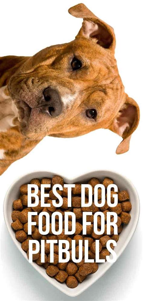 Best Dog Food For Pitbulls - Giving Your Dog The Right Diet | Dog food ...