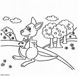 Cartoon Mother And Baby Kangaroo coloring Page sketch template
