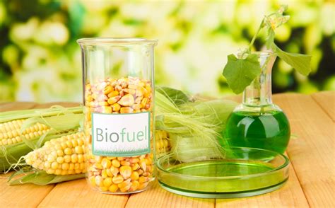 Biofuels - the Future of Sustainability & Alternative Energy