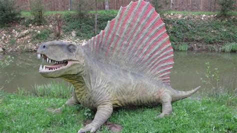 Animals That Look Like Dinosaurs