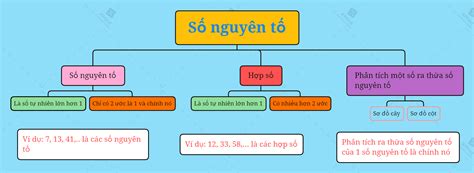 Lý thuyết số nguyên tố. hợp số. phân tích một số ra thừa số nguyên tố môn toán 6 sách CTST