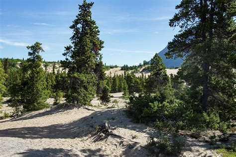 Carcross Desert Yukon Canada Photograph by Paul Cannon