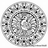 Peacock Mandala Coloring Pages  Free & Printable sketch template