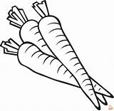 Free Printable Carrot Coloring Pages For Kids  GBcoloring sketch template
