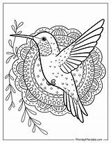 Hummingbird Adult Coloring Pages 2025 sketch template
