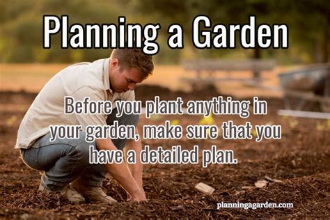 How to Plan a Garden