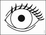 Eye Coloring Page  AusmalbilderFurKinderde sketch template