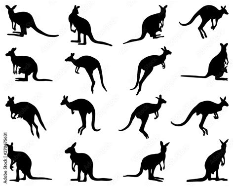 Black silhouettes of kangaroo on a white background Stock Vector ...