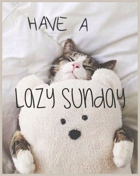 Have A Lazy Sunday | Sunday quotes, Happy sunday quotes, Good morning ...