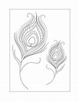 Feather Coloring Pages – Printable FREE sketch template