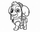 Paw Coloring Book Pages sketch template