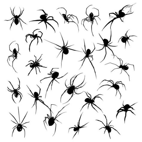 Spider Silhouette Tattoo Vector (EPS, SVG) | Tatuagens retro, Tatuagens interessantes, Tatuagens ...