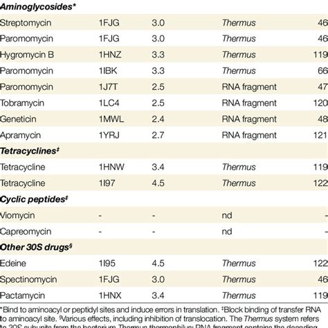 (PDF) The bacterial ribosome as a target for antibiotics