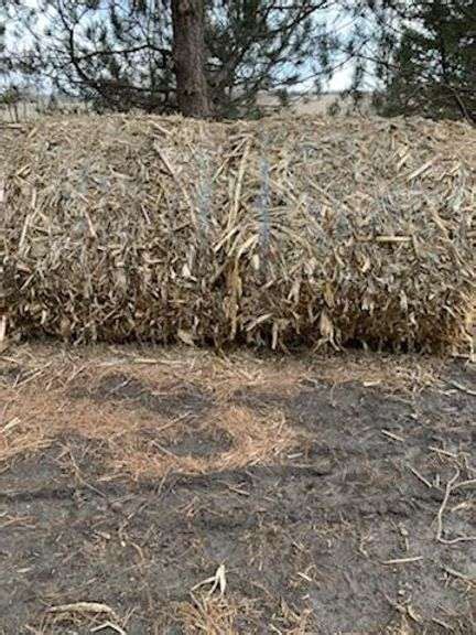 2 round bales corn stalks, about 800 lbs. bailed last fall - Fragodt Auction and Real Estate LLC