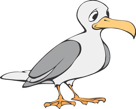 How To Draw A Seagull For Kids - ClipArt Best