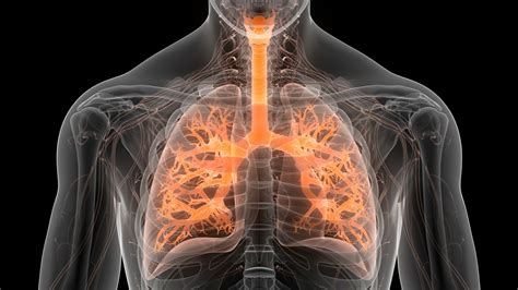 Virtual lung therapy by smartphone app rivals traditional method | New ...