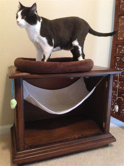 DIY Cat Bed/Toy | My dad bought this end table at the dig st… | Flickr