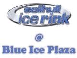 Solihull Ice Rink | Children's Leisure