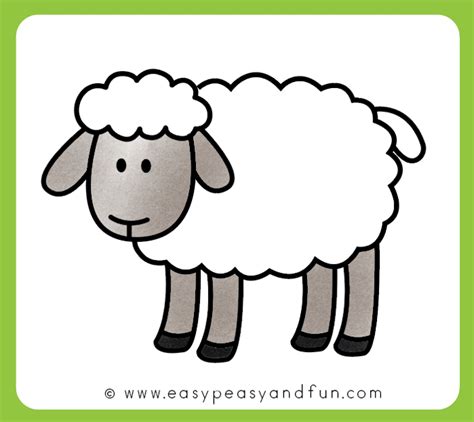 How to Draw a Sheep - Step by Step Sheep Drawing Tutorial | Sheep drawing, Sheep art, Sheep