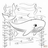 50  Whale Coloring Pages Free Printable PDF & Online sketch template