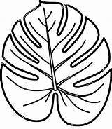 Coloring Pages Of Different Leaves Shapes sketch template