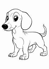 Dachshund Coloring Page Line Art  Premium AI Generated Vector sketch template
