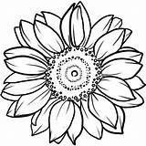 Big Sunflower Coloring Page Pages sketch template