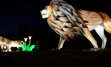 ZooLights in - Phoenix, AZ | Groupon