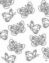 Free Printable Coloring Pages Butterflies For Kids sketch template