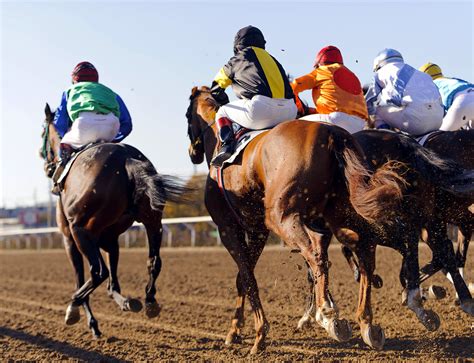 Horse & Camel Racing in Saudi Arabia | Richest Races & Beauty Pageants