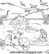 Lake Habitat Coloring Page Sketch sketch template