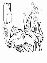 Free Printable Goldfish Coloring Pages For Kids sketch template