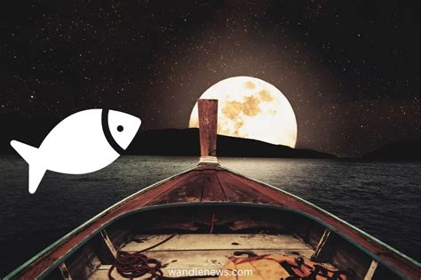 Fishing on a Full Moon: How Moon Phases Affect Fish