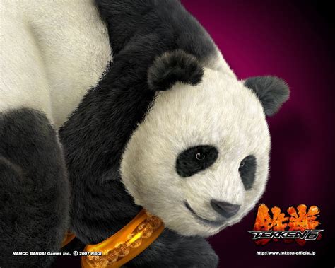 tekken 6 | Panda bear, Panda, Bear