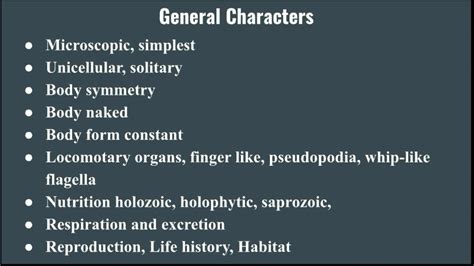 General Characteristics of Protozoa - YouTube