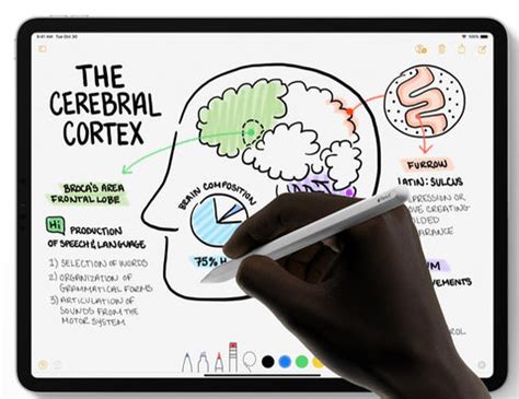 12 Apple Pencil Tips And Tricks You Should Know About — iPad Planner