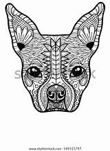 Boston Terrier French Bulldog Adult Coloring Stock Vector Royalty Free  sketch template