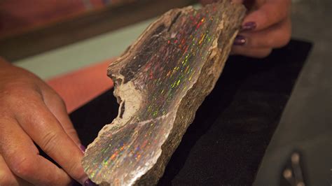 Nevada State Precious Gemstone | Virgin Valley Black Fire Opal