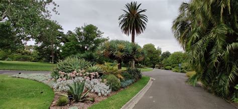 Royal Botanic Gardens Victoria & St Kilda Botanical Gardens : Melbourne ...