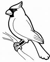 Awesome Bird Standing On Tree Branch Coloring Page  Outline sketch template